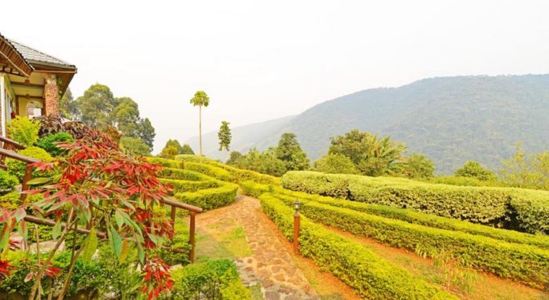 Silverback Lodge Buhoma 외부 사진