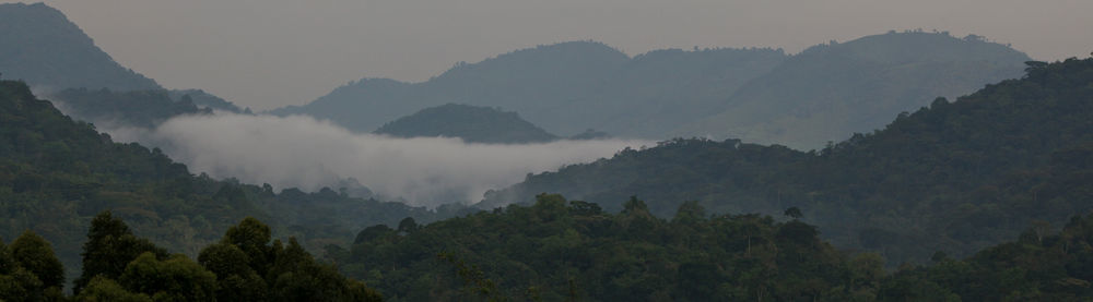 Silverback Lodge Buhoma 외부 사진